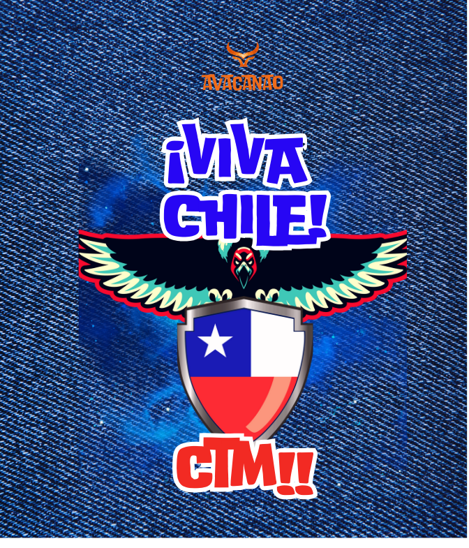 Pechera Jeans con frase típica chilena "Viva Chile Ctm"