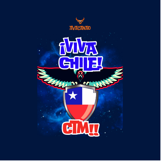 Polerón con capucha tipo canguro 100% algodón con frase típica chilena "Viva Chile Ctm"