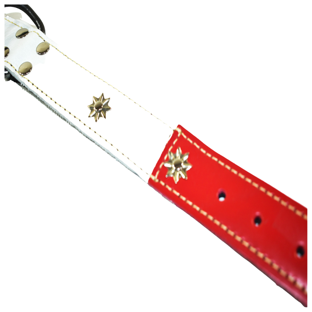 Collar de Perro 100% Cuero Tricolor Chileno