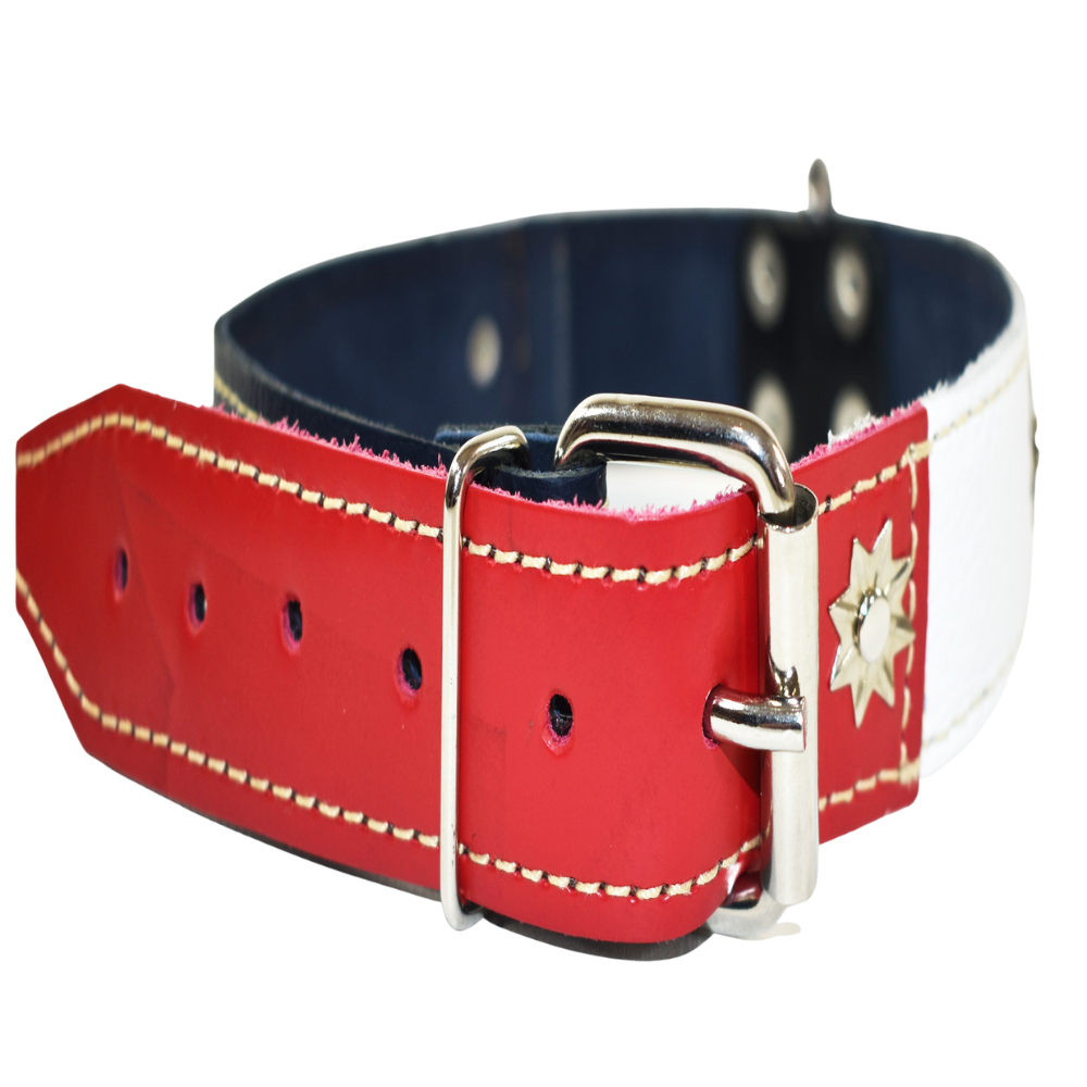Collar de Perro 100% Cuero Tricolor Chileno
