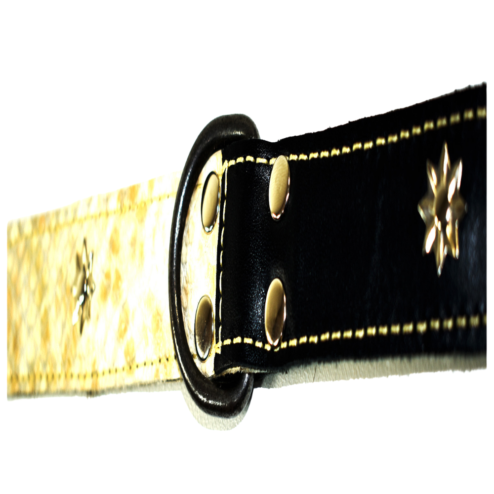 Collar de Perro 100% Cuero Tricolor Chileno