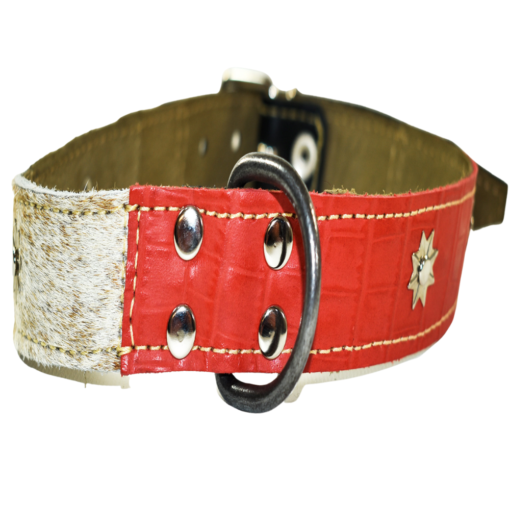 Collar de Perro 100% Cuero Tricolor Chileno