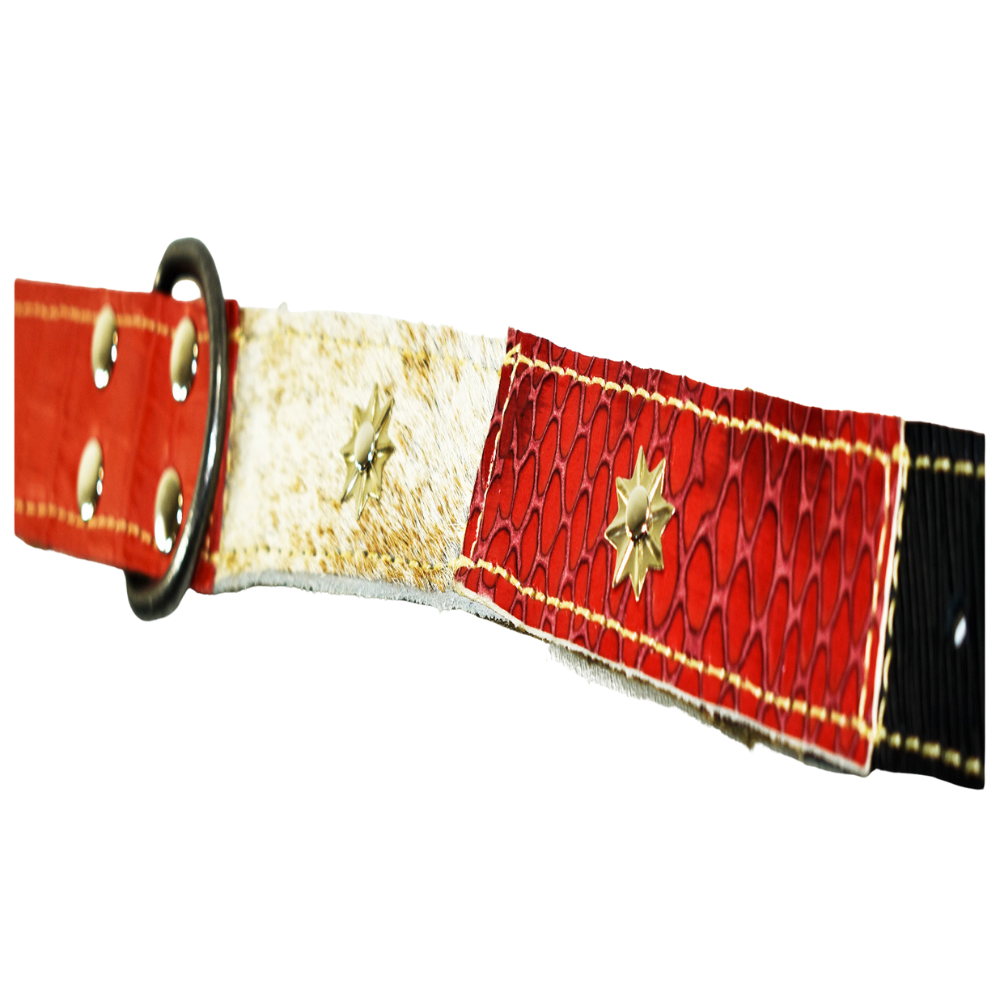 Collar de Perro 100% Cuero Tricolor Chileno