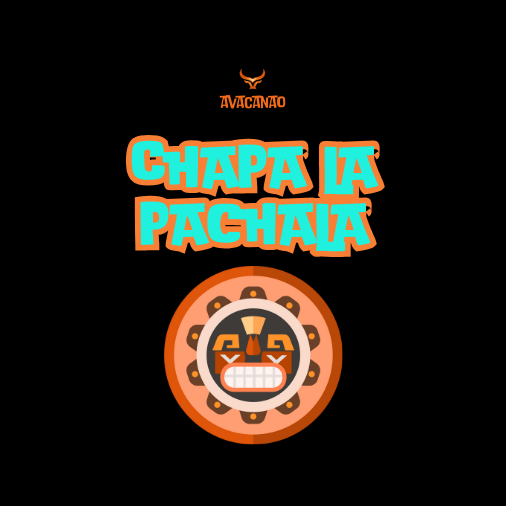 Polera Polo 100% Algodón con frase típica chilena "Chapa la Pachala!