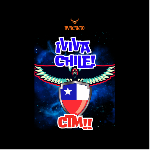 Polera polo 100% Algodón con frase típica chilena " Viva Chile CTM "