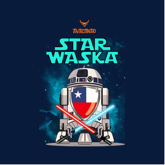 Polerón capucha tipo canguro 100% algodón "Star Waska"