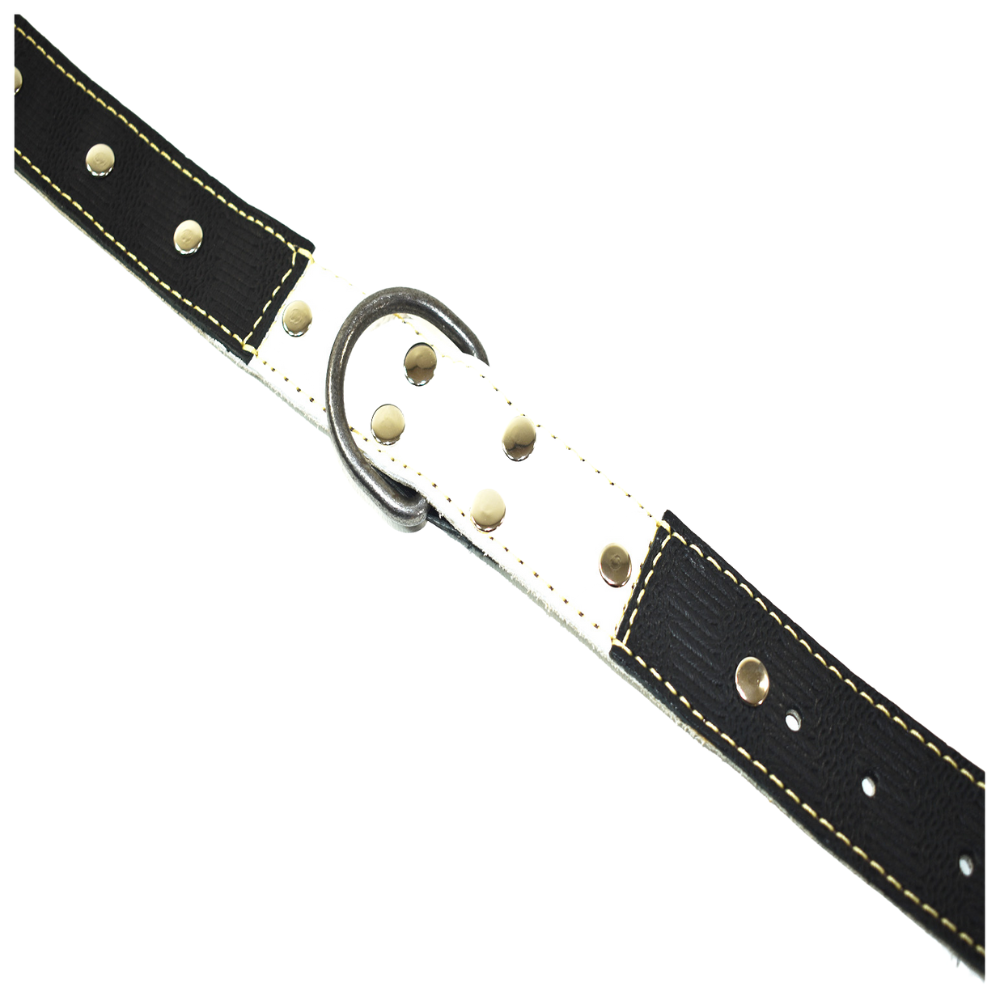 Collar de Perro 100% Cuero Blanco Negro con Tachas