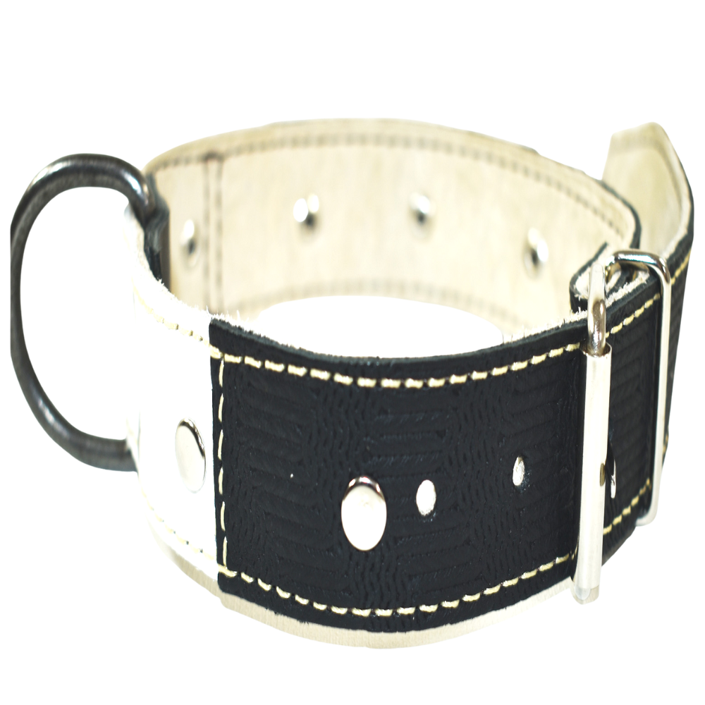 Collar de Perro 100% Cuero Blanco Negro con Tachas