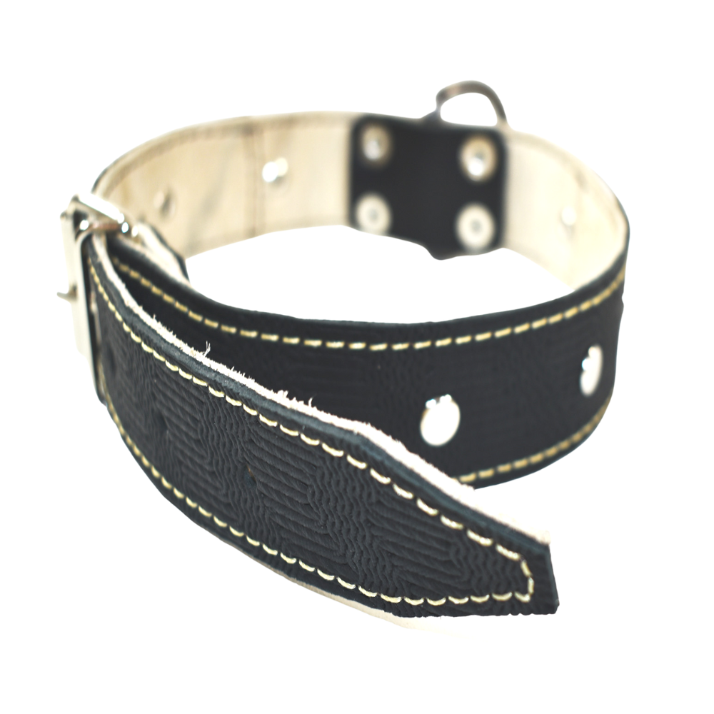 Collar de Perro 100% Cuero Blanco Negro con Tachas