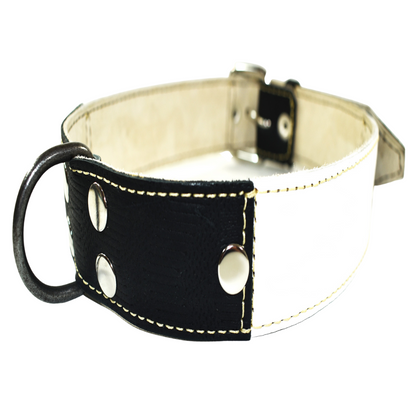 Collar de Perro 100% Cuero Blanco Negro con Tachas